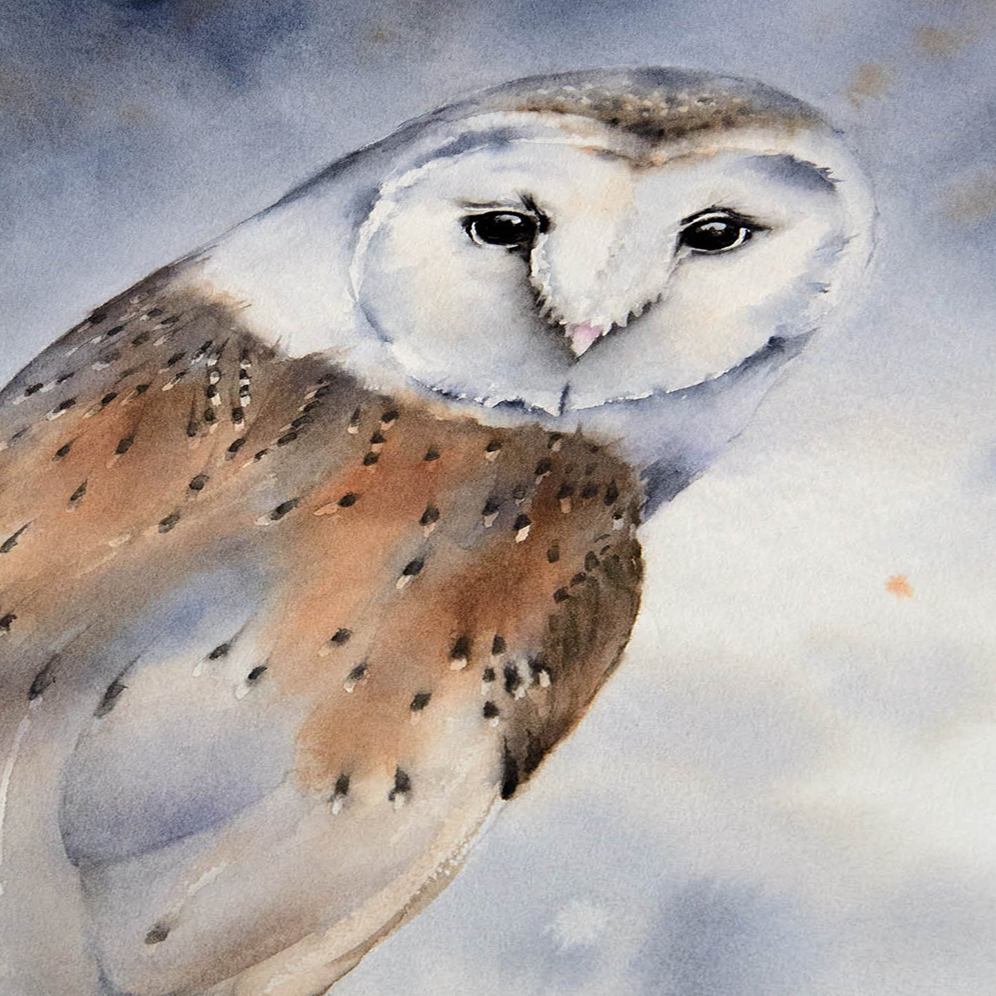 Schleiereule Aquarell Kunstdruck – Sanfte Wächterin der Nacht