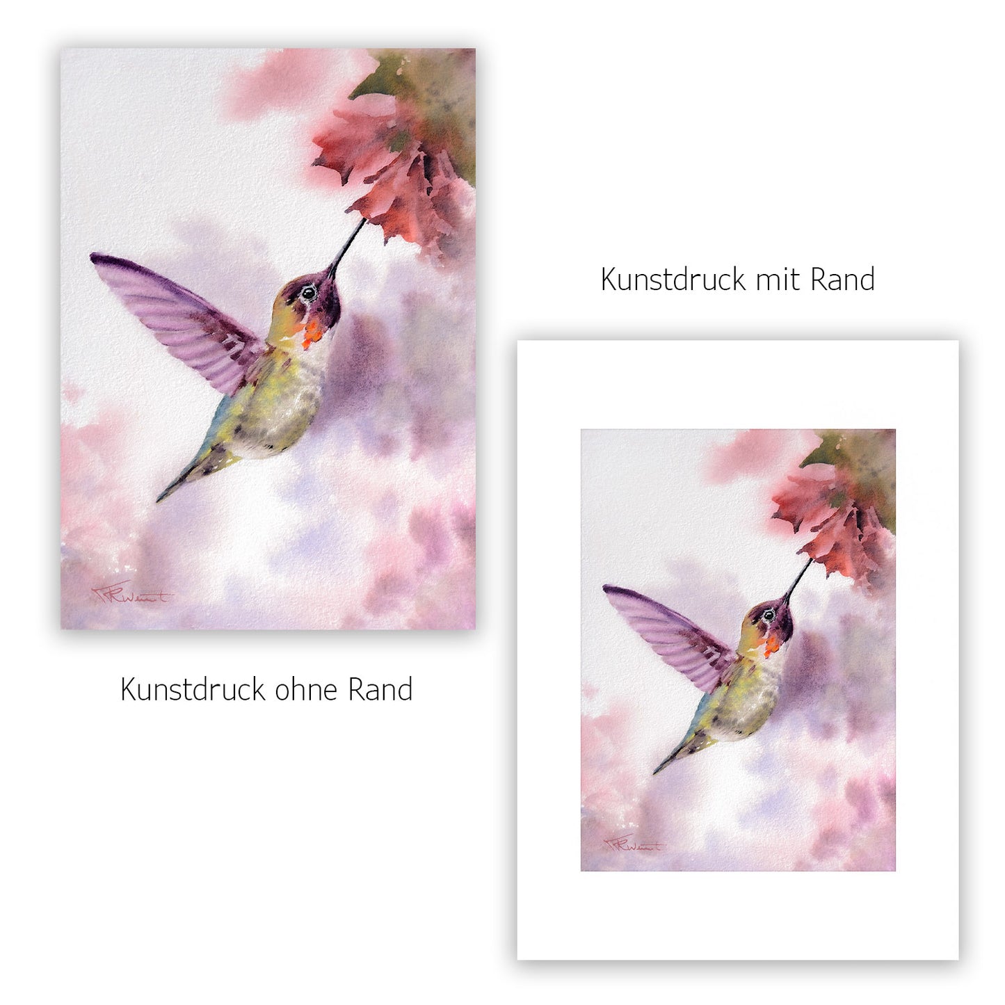 Kolibri Kunstdruck – Hahnemühle Fine Art Giclée – Aquarell Vogel Wandbild