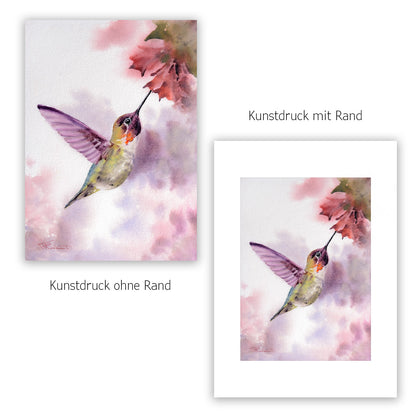 Kolibri Kunstdruck – Hahnemühle Fine Art Giclée – Aquarell Vogel Wandbild