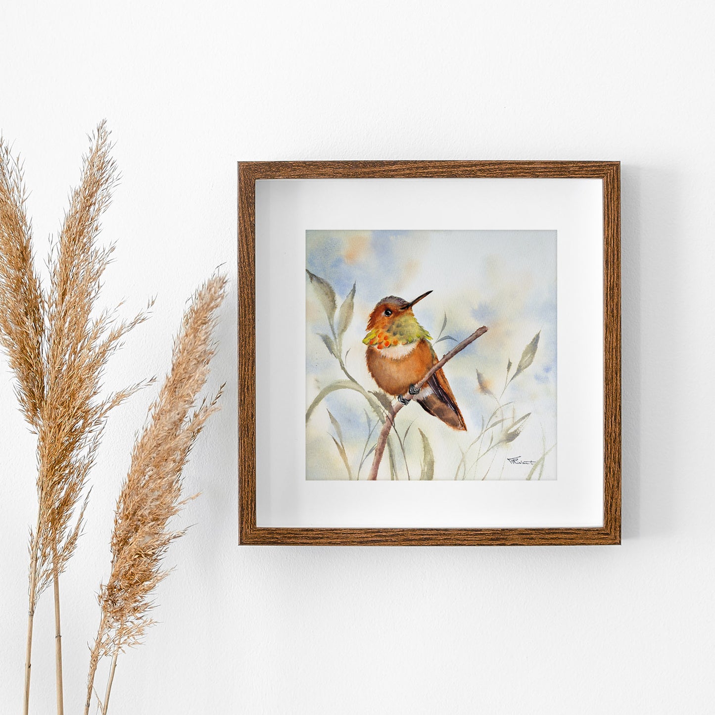 Kolibri – Original-Aquarell, 26 x 26 cm