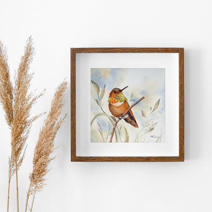 Kolibri – Original-Aquarell, 26 x 26 cm