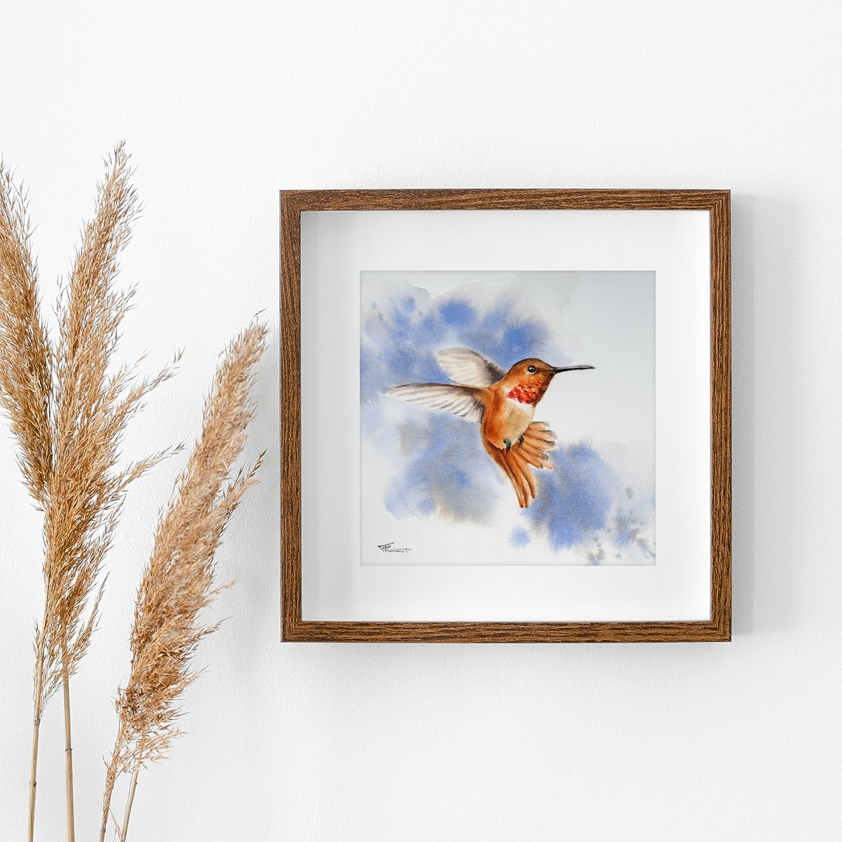 Kolibri – Original-Aquarell, 26 x 26 cm