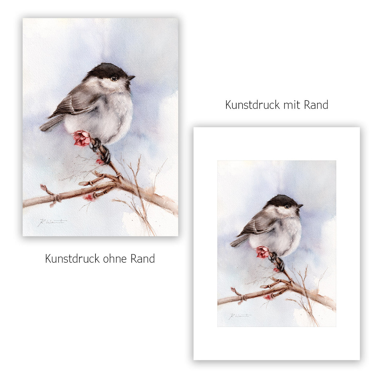 Meise Kunstdruck – Hahnemühle Fine Art Giclée – Aquarell Vogel Wandbild