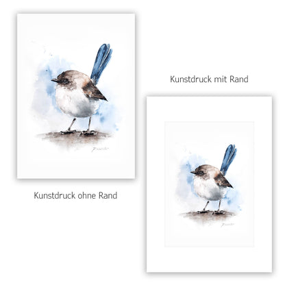 Prachstaffelschwanz – Hahnemühle Fine Art Giclée – Aquarell Vogel Wandbild