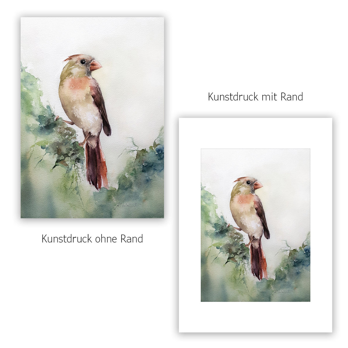 Rotkardinal Weibchen Kunstdruck – Hahnemühle Fine Art Giclée – Aquarell Vogel Wandbild