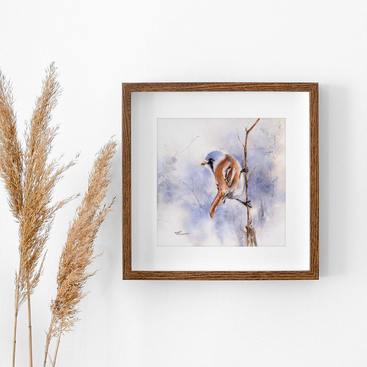 Bartmeise – Original-Aquarell, 26 x 26 cm