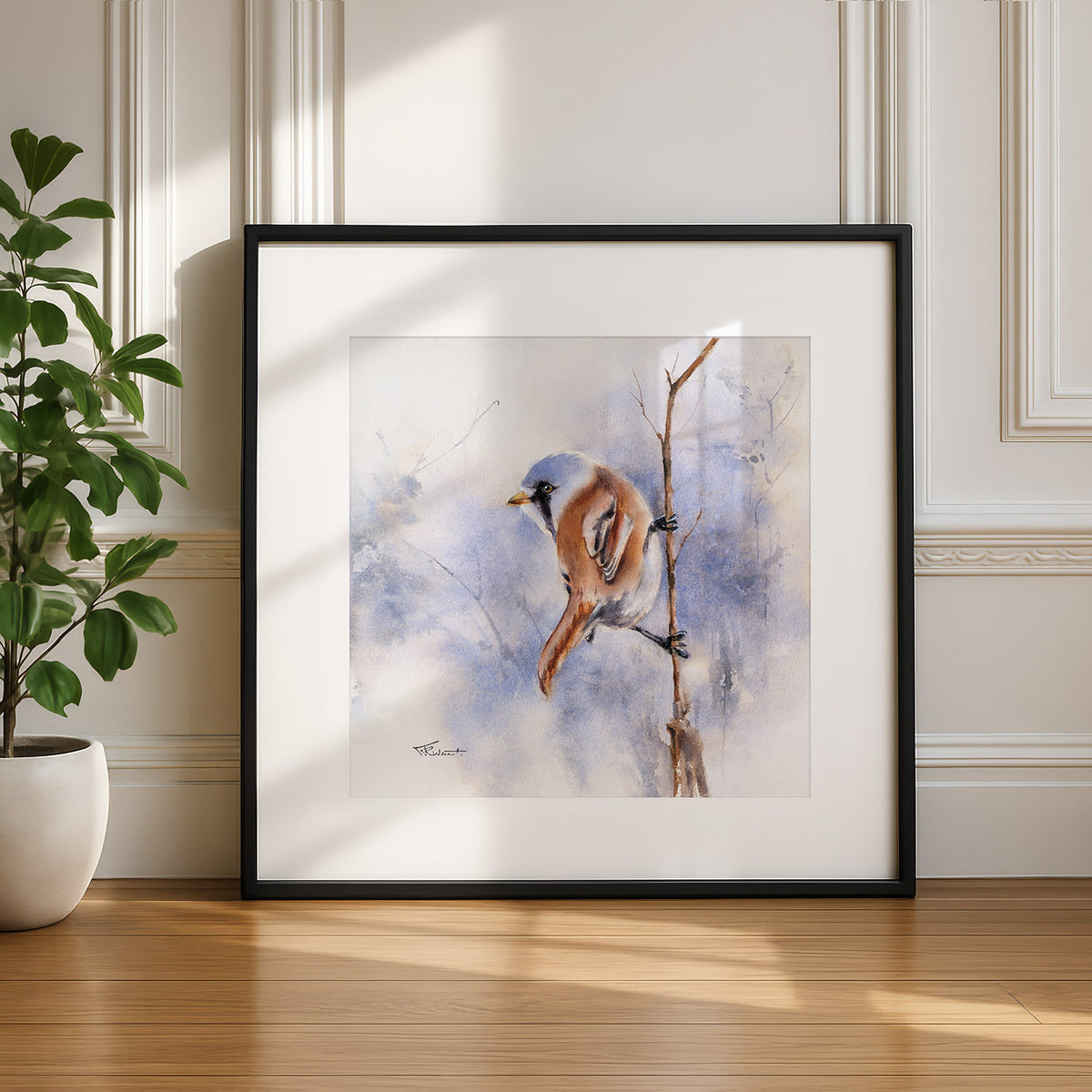 Bartmeise – Original-Aquarell, 26 x 26 cm