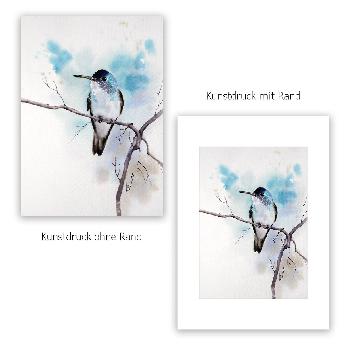 Blauer Kolibri – Hahnemühle Fine Art Giclée – Aquarell Vogel Wandbild