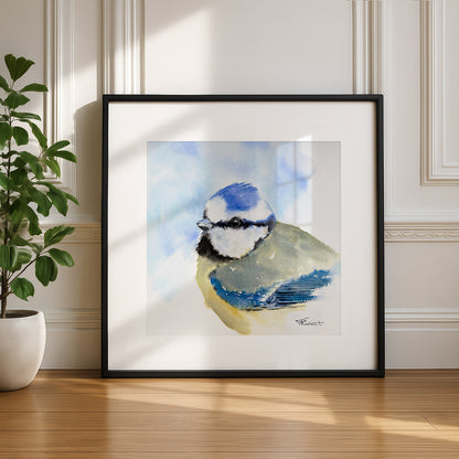 Blaumeise – Original-Aquarell, 26 x 26 cm