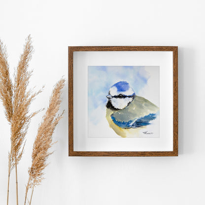 Blaumeise – Original-Aquarell, 26 x 26 cm