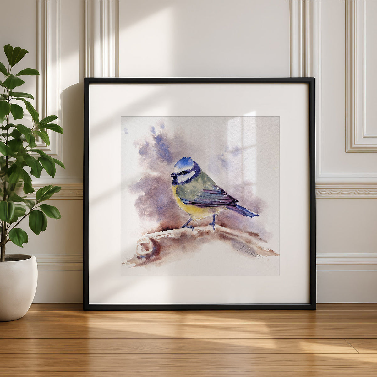 Blaumeise Original Aquarell 26x26 cm im Bilderrahmen - gerahmt