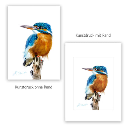 Eisvogel – Hahnemühle Fine Art Giclée – Aquarell Vogel Wandbild