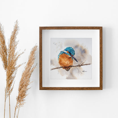 Eisvogel – Original-Aquarell, 26 x 26 cm