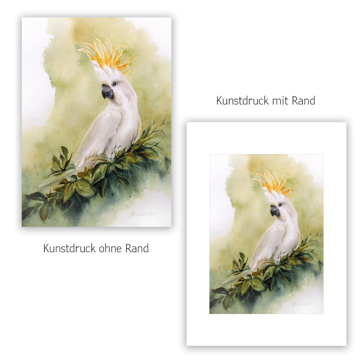 Gelbhaubenkakadu Kunstdruck – Hahnemühle Fine Art Giclée – Aquarell Vogel Wandbild