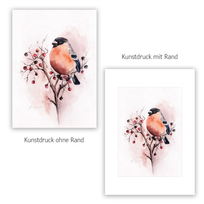 Gimpel Kunstdruck – Hahnemühle Fine Art Giclée – Aquarell Vogel Wandbild (Kopie)