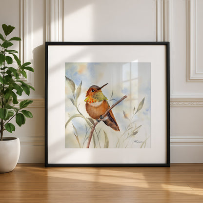 Kolibri – Original-Aquarell, 26 x 26 cm