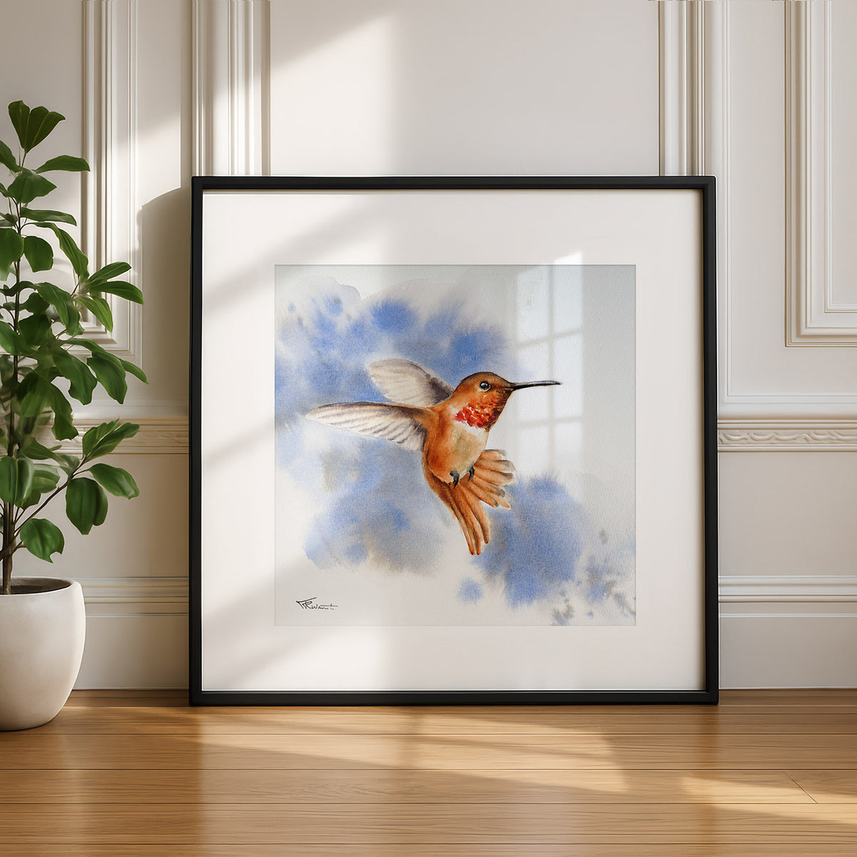 Kolibri – Original-Aquarell, 26 x 26 cm
