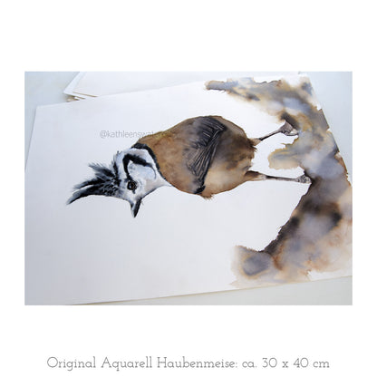 Haubenmeise  – Original-Aquarell, 30 x 40 cm