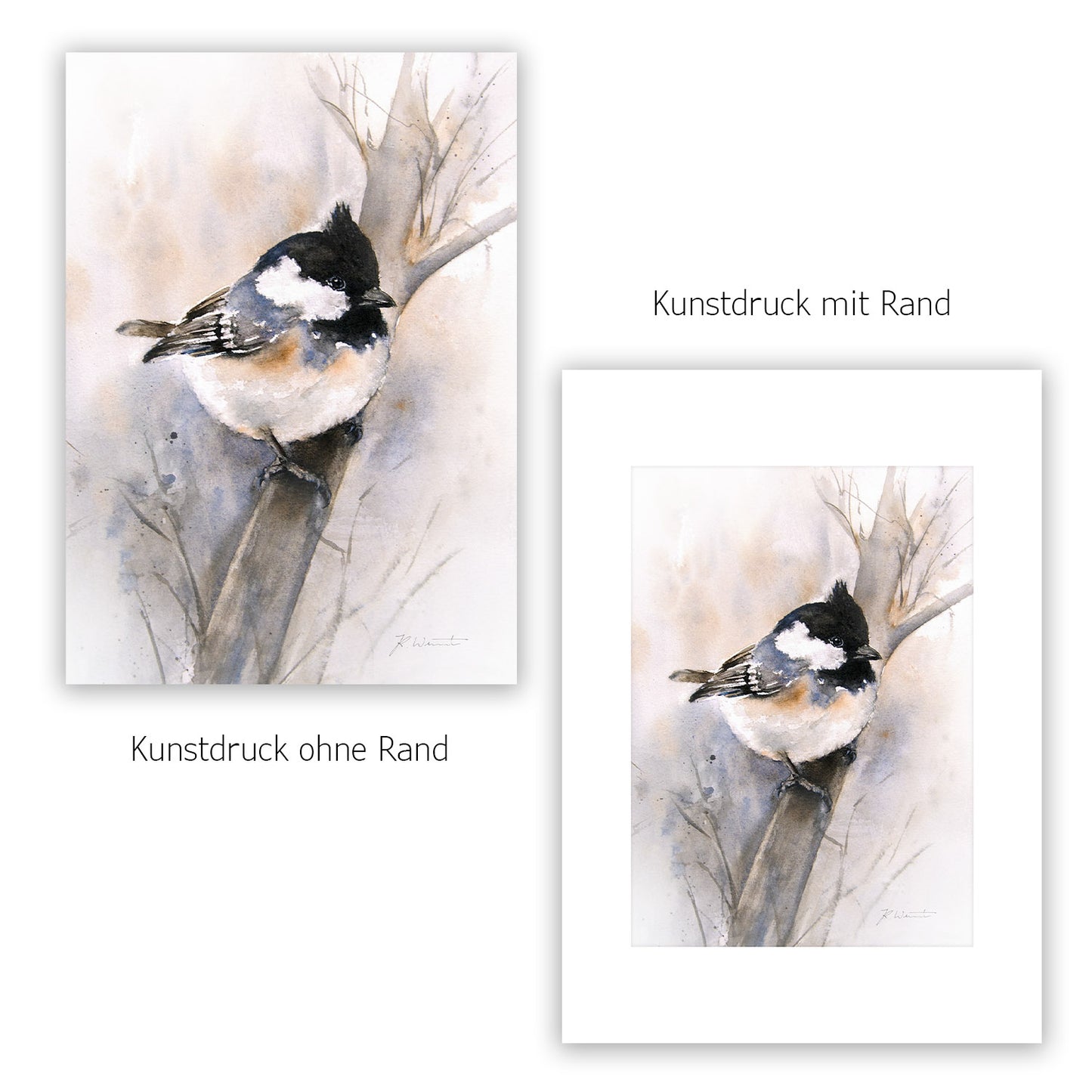Schwarzkopfmeise – Hahnemühle Fine Art Giclée – Aquarell Vogel Wandbild