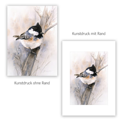 Schwarzkopfmeise – Hahnemühle Fine Art Giclée – Aquarell Vogel Wandbild