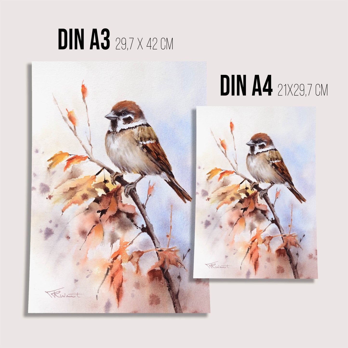 Sperling Aquarell Kunstdruck – Der kleine Begleiter mit großem Charme
