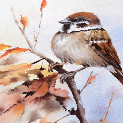 Sperling Aquarell Kunstdruck – Der kleine Begleiter mit großem Charme